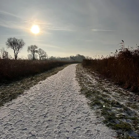 Villa Am Fuer Paare, Familien, Nordseenah, Feriennest Am Wangermeer
